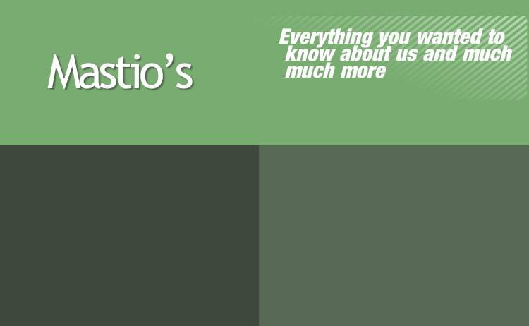 Everything you wanted to
 know about us and much 
 much more

